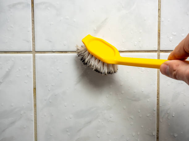 Best Mold Remediation for Schools in St John, IN