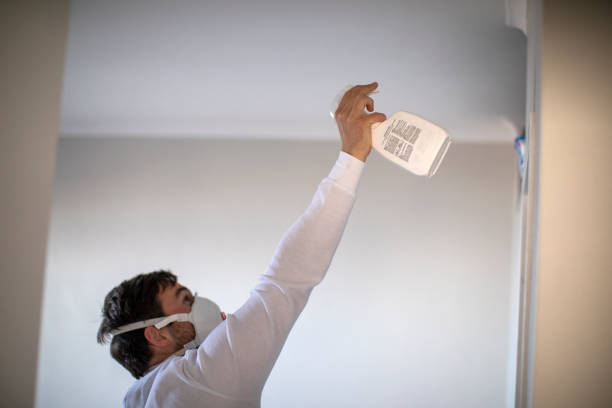 Best Basement Mold Remediation in St John, IN